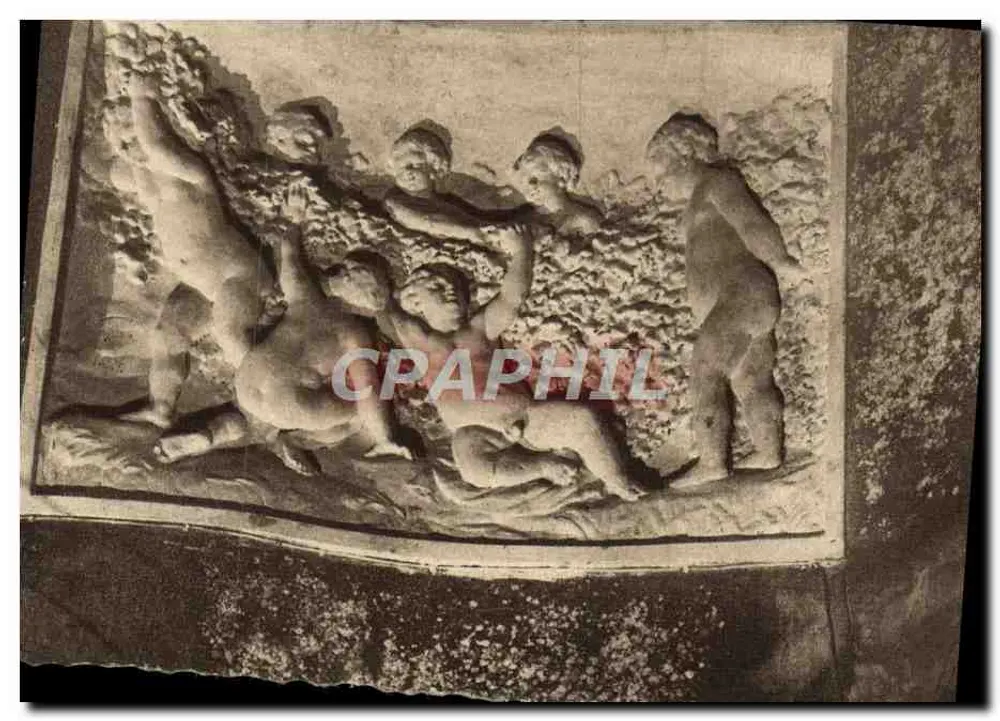 Junge Streifenhörner — Basrelief aus Kalkstein — Champagne Pommery & Greno - Reims - Vorderseite