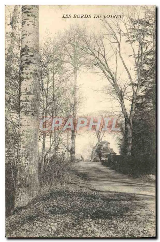 As margens do Loiret — vista de um caminho cercado de árvores — editor não visível - Frente