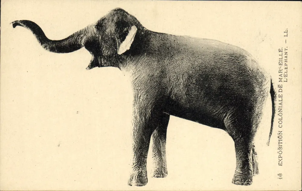 O Elefante — Exposição Colonial de Marselha — LL. n°16 - Frente