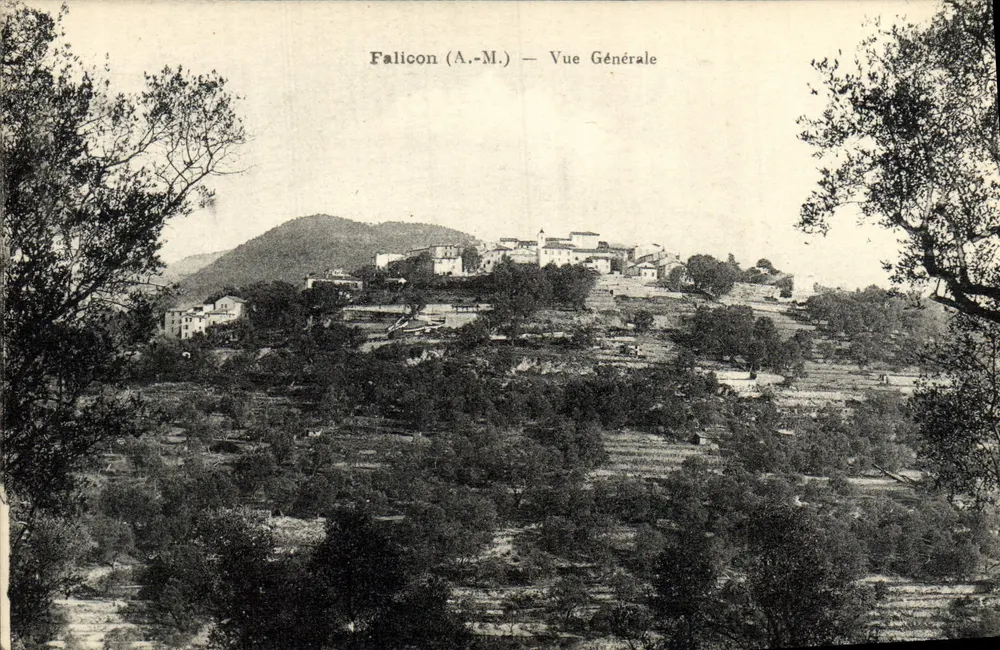 Falicon (A.-M.) — Vista Geral - Frente