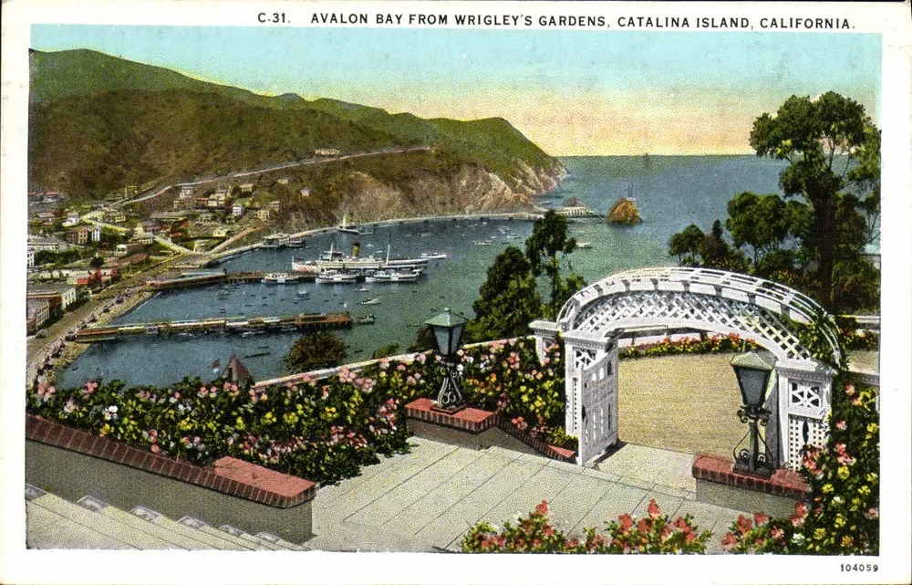 Avalon Bay aus den Gärten von Wrigley, Catalina Insel, Kalifornien — C.31 — Western Publishing & Novelty Co. - Vorderseite