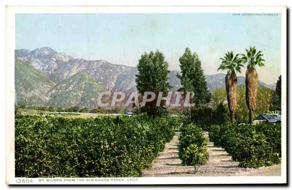 Monte Wilson, da antiga fazenda Shorb, Califórnia — Corr. Detroit Publishing Co. n° 12694 - Frente