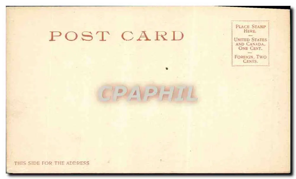 Vinha de Uvas, Carpentaria, Cal. — Detroit Photographic Co. — n° 698 - Verso