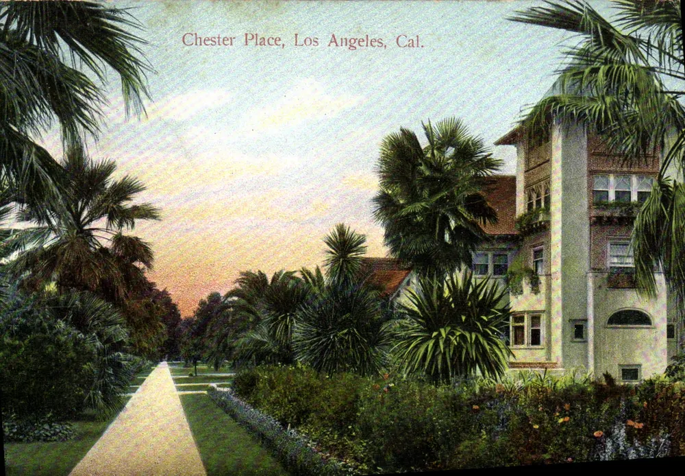 Chester Place, Los Angeles, Kalifornien — Ansicht eines Gebäudes und eines von Palmen gesäumten Weges — Verlag M. Reuter, Paris - Vorderseite