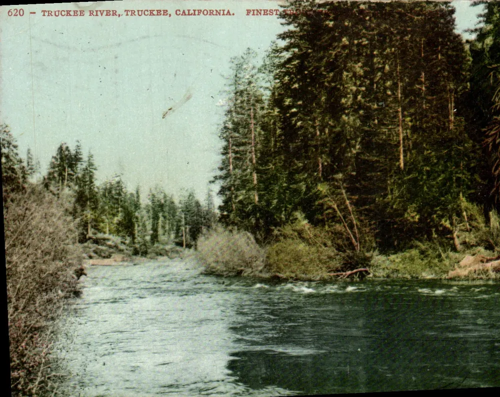 Truckee River, Truckee, Califórnia — Melhores Árvores, Califórnia — série 620, editor Edward H. Mitchell - Frente