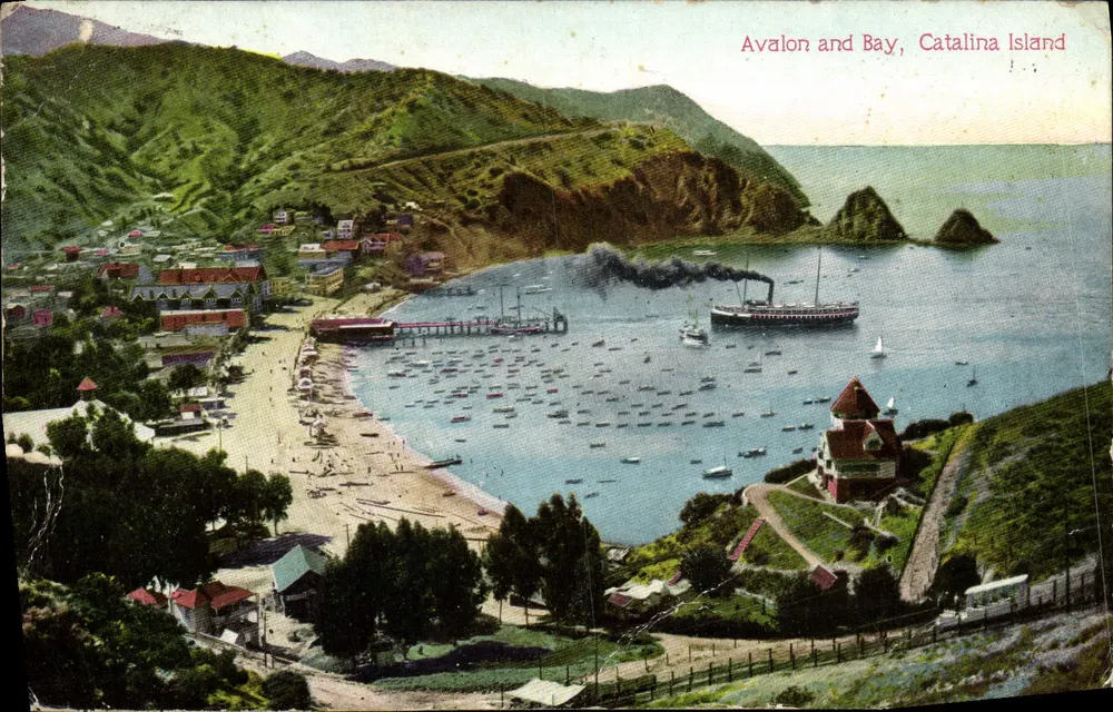 Avalon and Bay, Catalina Island — vue panoramique du port et des collines — éditeur Newman Post Card Co. San Francisco - Vorderseite
