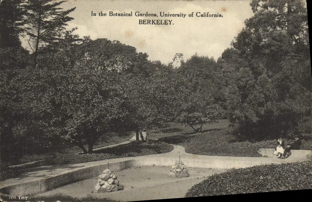 Botanischer Garten der University of California — Berkeley — Verlag FuhI by Associated Students' Store, Nr. 167 - Vorderseite