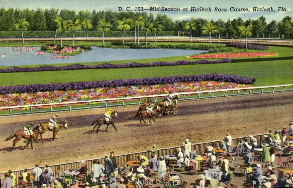 Mid-Season at Hialeah Race Course — Hialeah, Fla. — Gulf Stream Card & Distributing Co. • Miami, Florida - Vorderseite