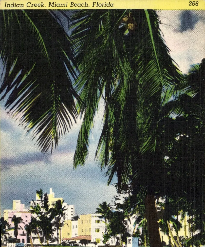 Indian Creek, Miami Beach, Florida — uitzicht op palmboom en gebouwen — serie 266 - Voorkant