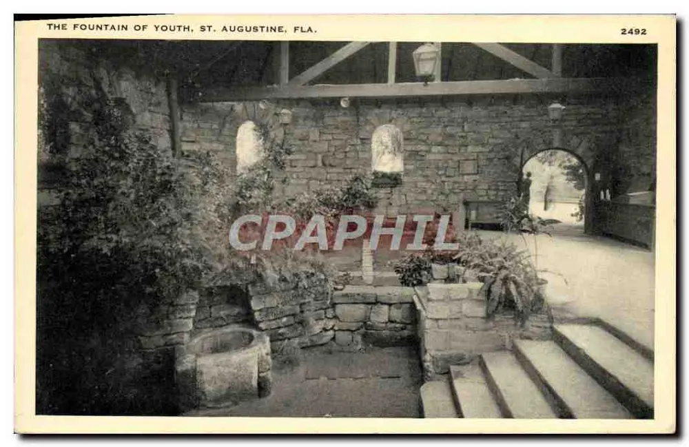 La Fontaine de la Jeunesse, St. Augustine, FLA. — Serie 2492 — Nadeng Photo Co., Watertown, N.Y. - Vorderseite