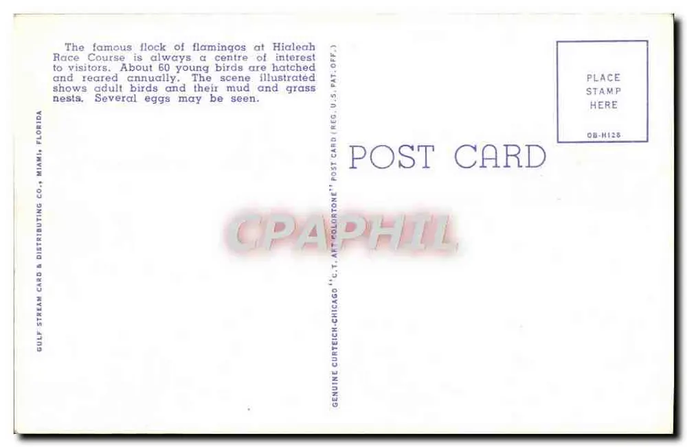 Rosaflamingos und Nester am Hippodrom von Hialeah, Florida — D.C. 27 — Verlag Gulf Stream Card & Distributing Co. Miami, Florida - Rückseite