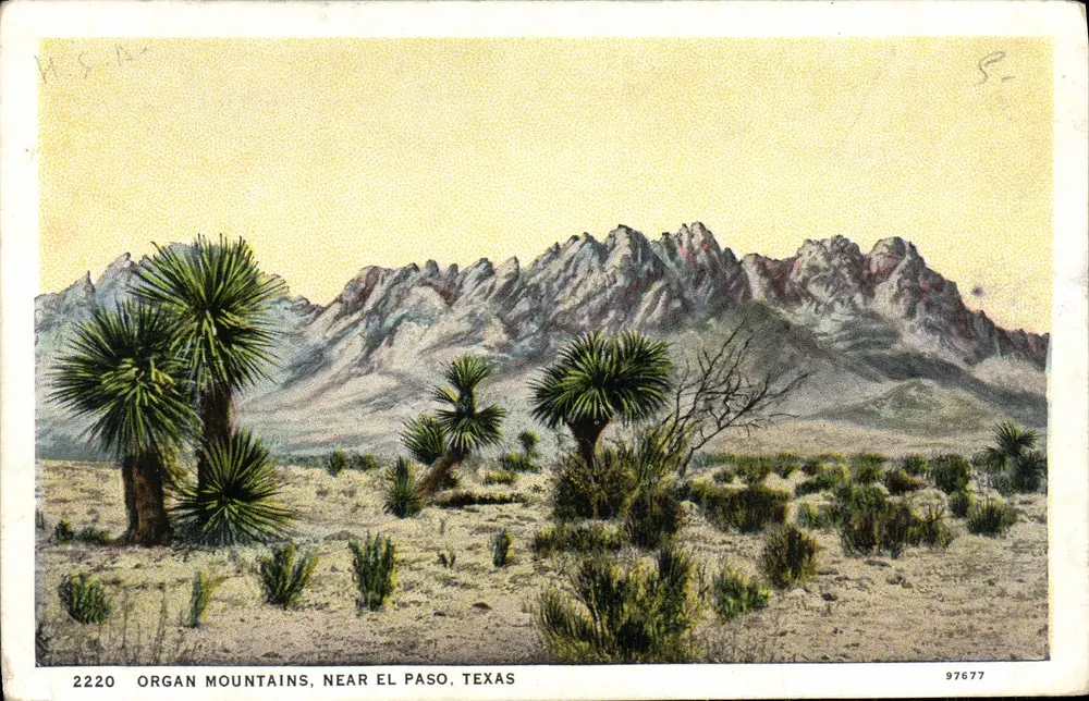 Organ Mountains, near El Paso, Texas — D.T. American Art Colored, n° 2220 - Vorderseite