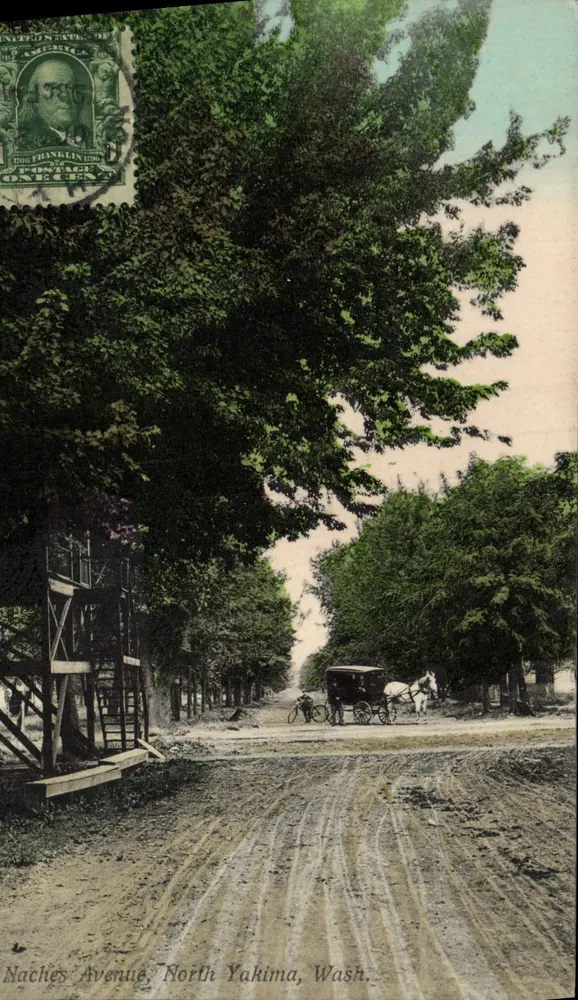 Naches Avenue, North Yakima, Wash. — vista de uma avenida arborizada com carruagem e bicicleta — editor Portland Post Card Co. - Frente