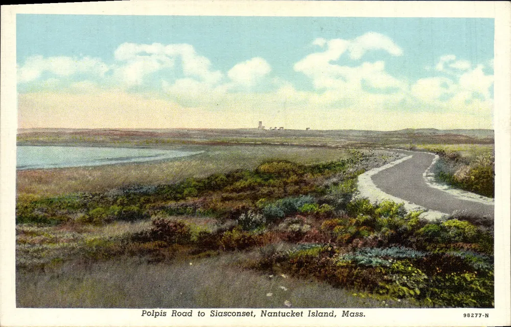 Polpis Road to Siasconset, Nantucket Island, Mass. — American Art Post Card Co. — Nr. 98277-N - Vorderseite