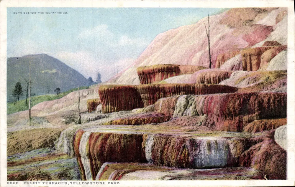 Terraceas do Púlpito, Parque Yellowstone — Detroit Photographic Co., n° 6528 - Frente