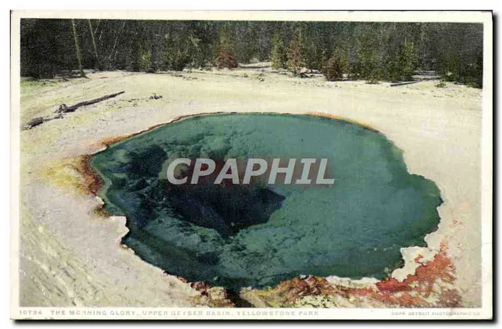 The Morning Glory, Upper Geyser Basin — Parque Nacional de Yellowstone — Detroit Photographic Co. n° 10784 - Frente