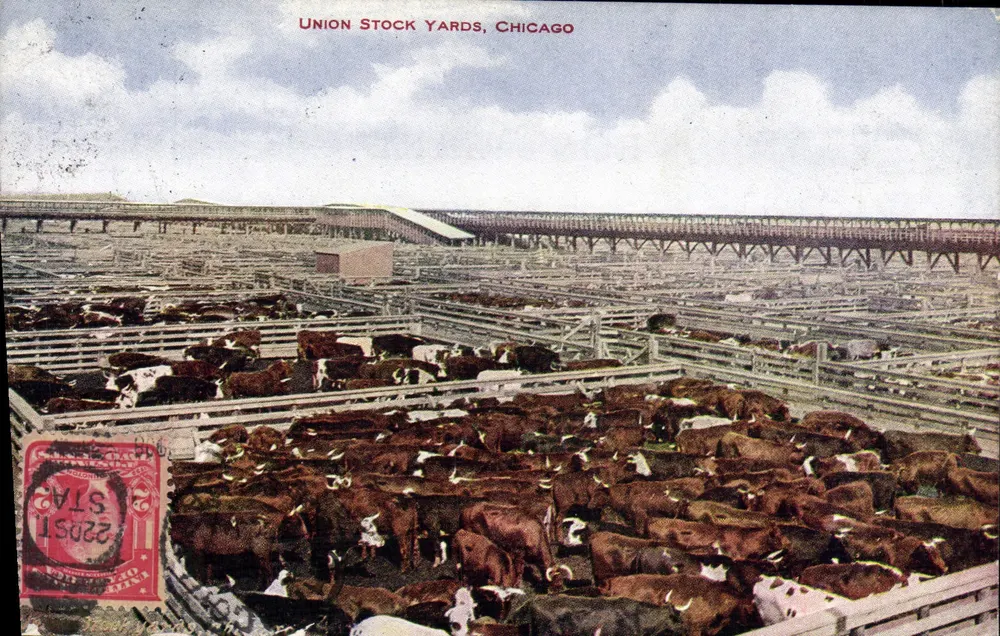 Union Stock Yards, Chicago — vue aérienne des enclos — V. O. Hammon Pub. Co., Chicago - Recto