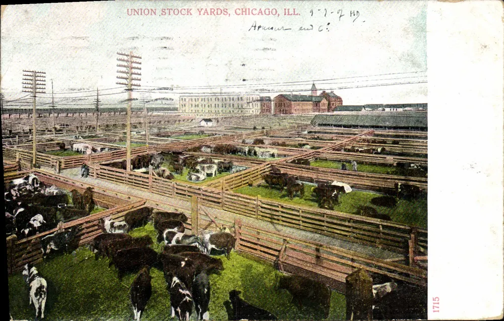 Union Stock Yards, Chicago, Ill. — luftaufnahme der Gehege mit Kühen — Verleger A. C. Rosselman & Co., n° 1715 - Vorderseite