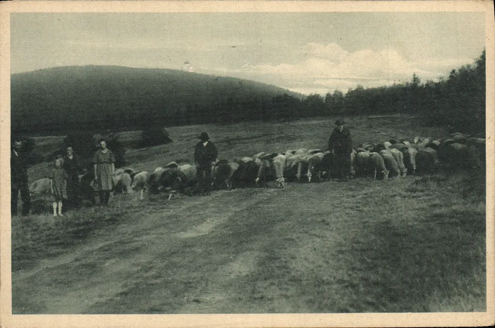 Part of Radhošti — pastoral scene with flock and people — no. 3018 - Front