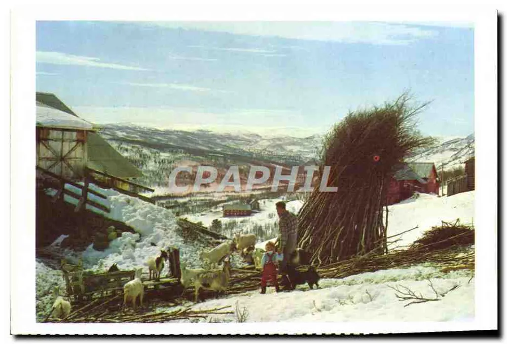 Vista da vallé de Hemse dal — Noruega — editor Beth B. Opp A/S, série 5/69 - Frente