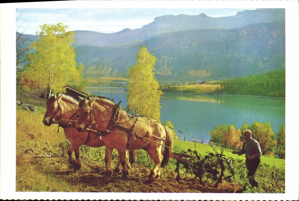 Noruega: época da colheita — Editor B. Oppi A/S, série 11/69 - Frente