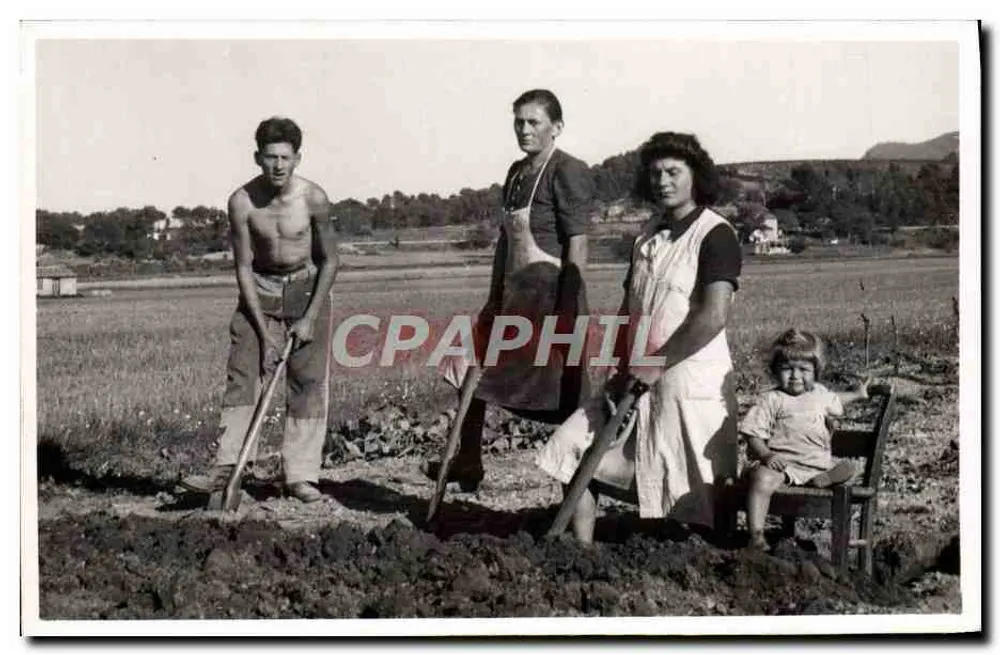 Família trabalhando em um campo - Frente