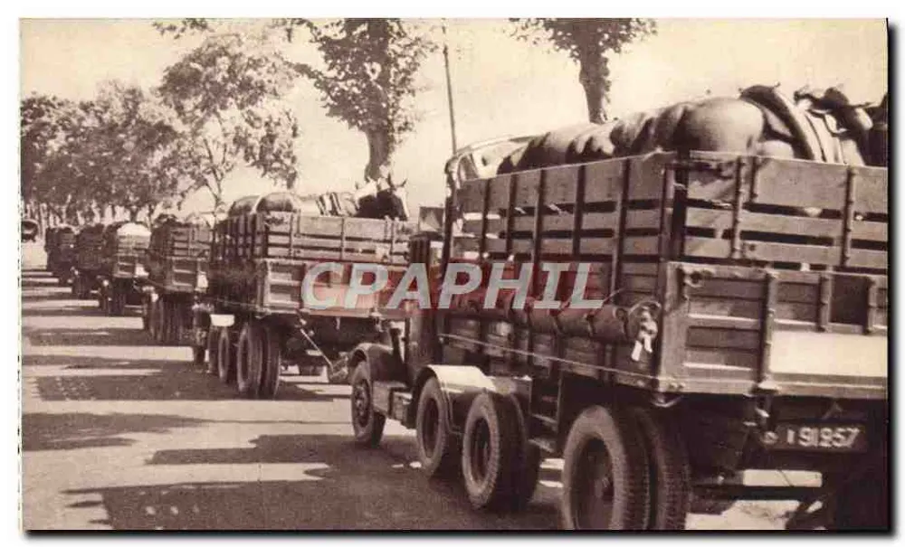 Zug für militärisches Gerät — Pferde-Transport — Georges Lang, IMP., Paris - Vorderseite