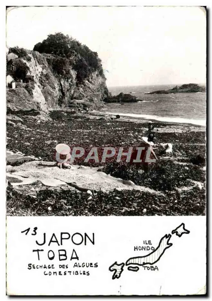 Toba — Séchage des algues comestibles — Japon, Ile Hondo - Frente