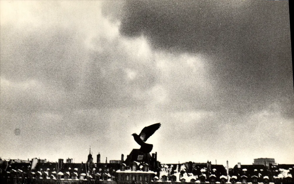Pigeon en vol — Paris — éditeur L.C. Vénezia - Recto
