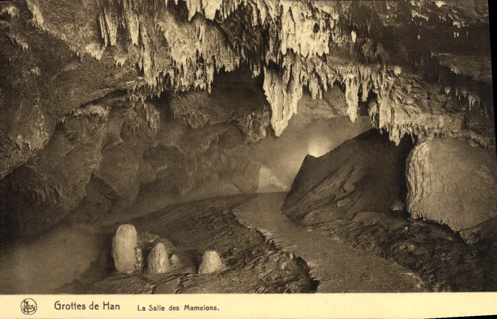 Grotte di Han — La Sala dei Mameloni — editore Jaus, numero di serie non visibile - Recto