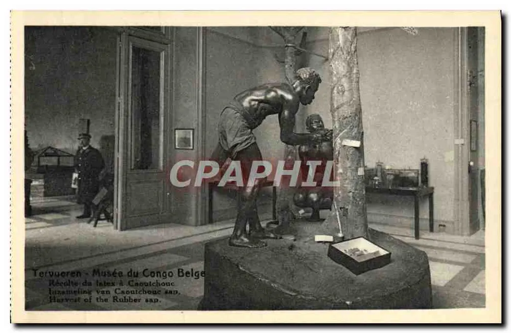 Tervueren - Museum des belgischen Kongo — Latex-Ernte in Caoutchouc - Vorderseite