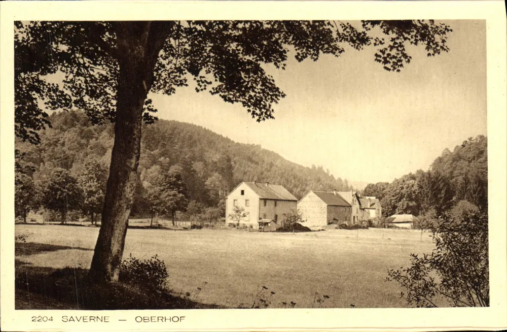 Saverne — Oberhof — 2204 - Frente