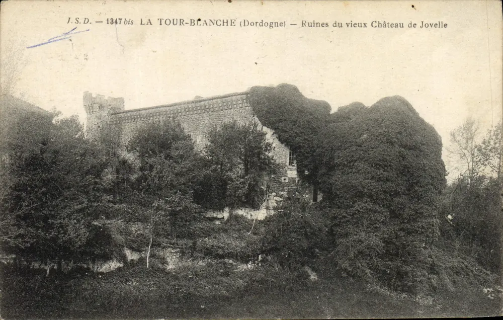 La Tour-Blanche (Dordogne) — Ruinen des alten Schlosses Jovelle — J.S.D. — 1347 bis - Vorderseite