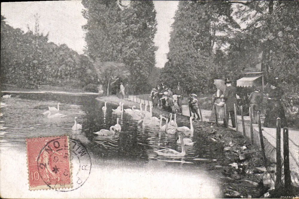 Lago com cisnes — pessoas observando — Staercy - Frente