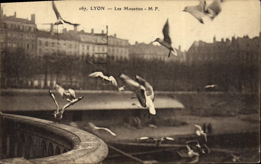 LYON — As Garças — M.F. n°167 - Frente