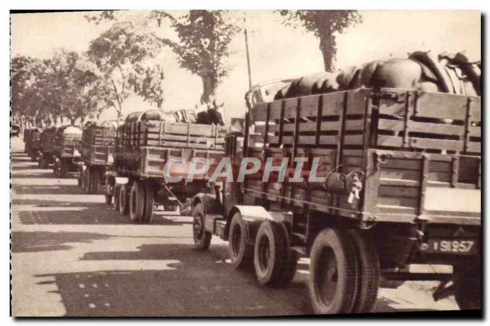 Militärbesatzungszug — Pferdeverkehr — Georges Lang, Impr. Paris - Vorderseite