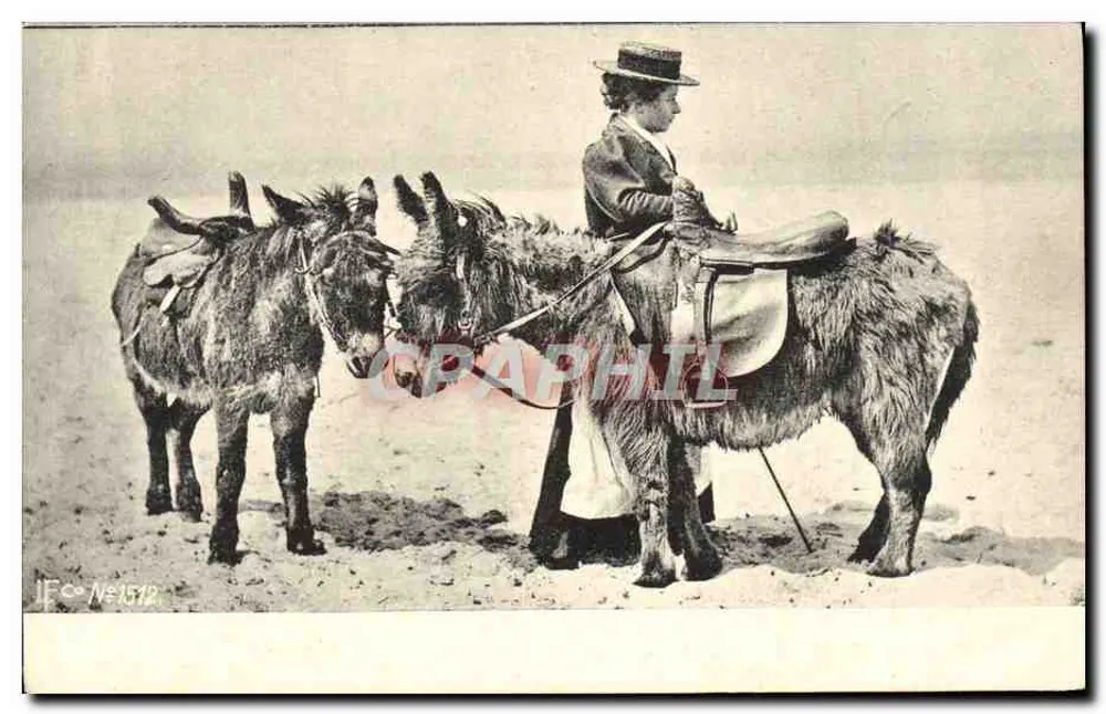 Mulher a cavalo em um jumento — três jumentos no primeiro plano — JFC N°1512 - Frente