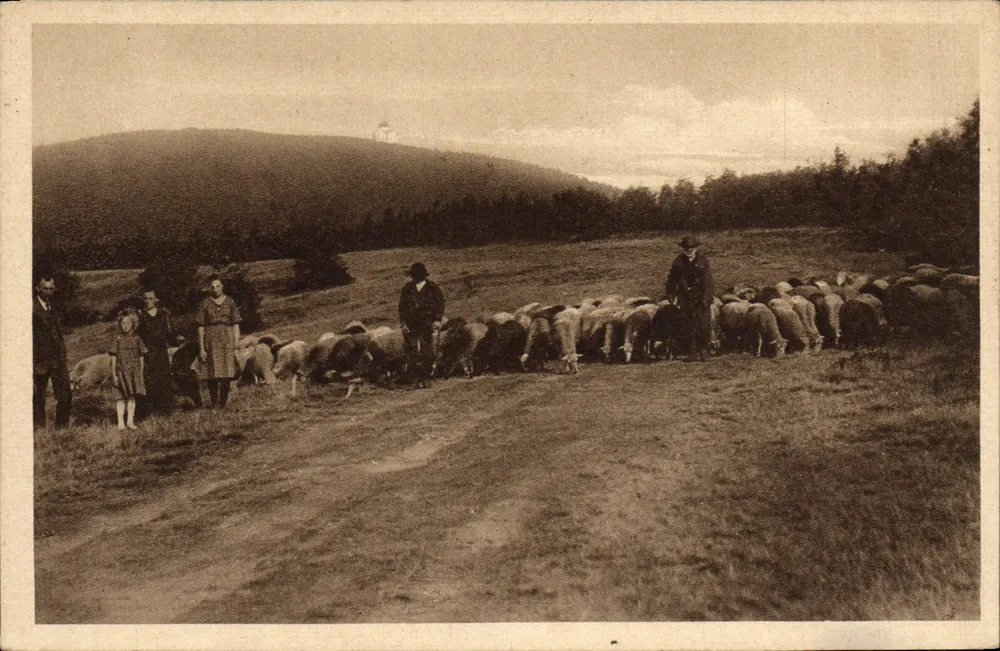 Partie na Radhošti — pastorale Szene mit Herde und Personen — Nr. 3018 - Vorderseite