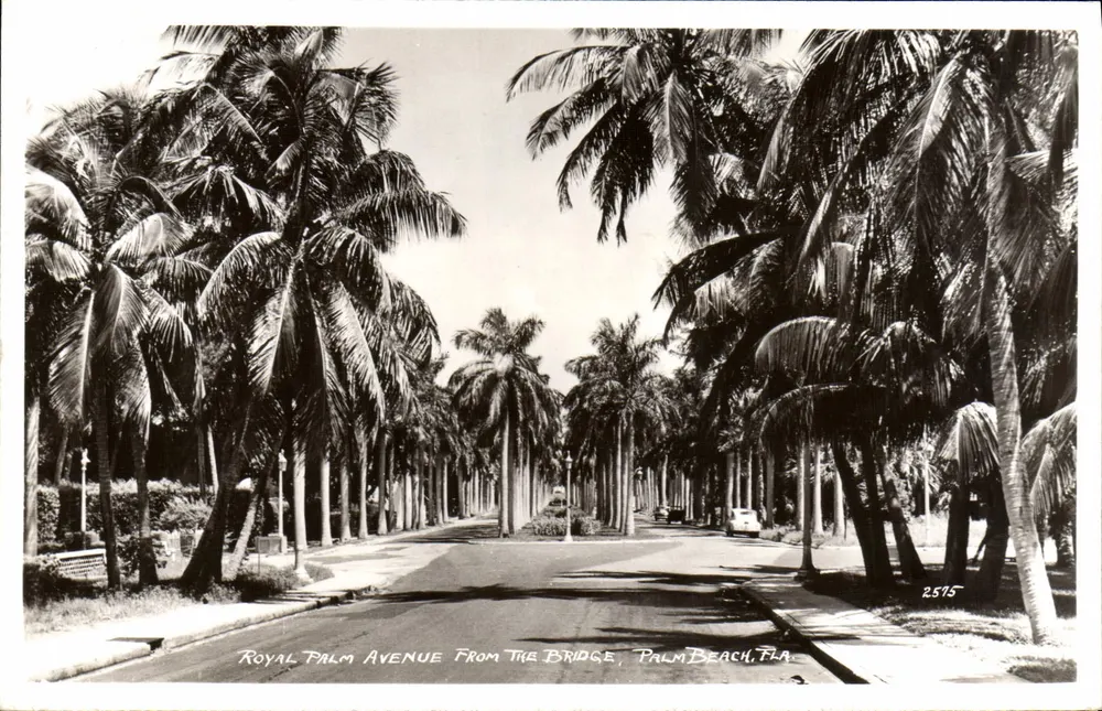 Royal Palm Avenue From The Bridge, Palm Beach, Fla. — 2575 — Verlag nicht sichtbar - Vorderseite