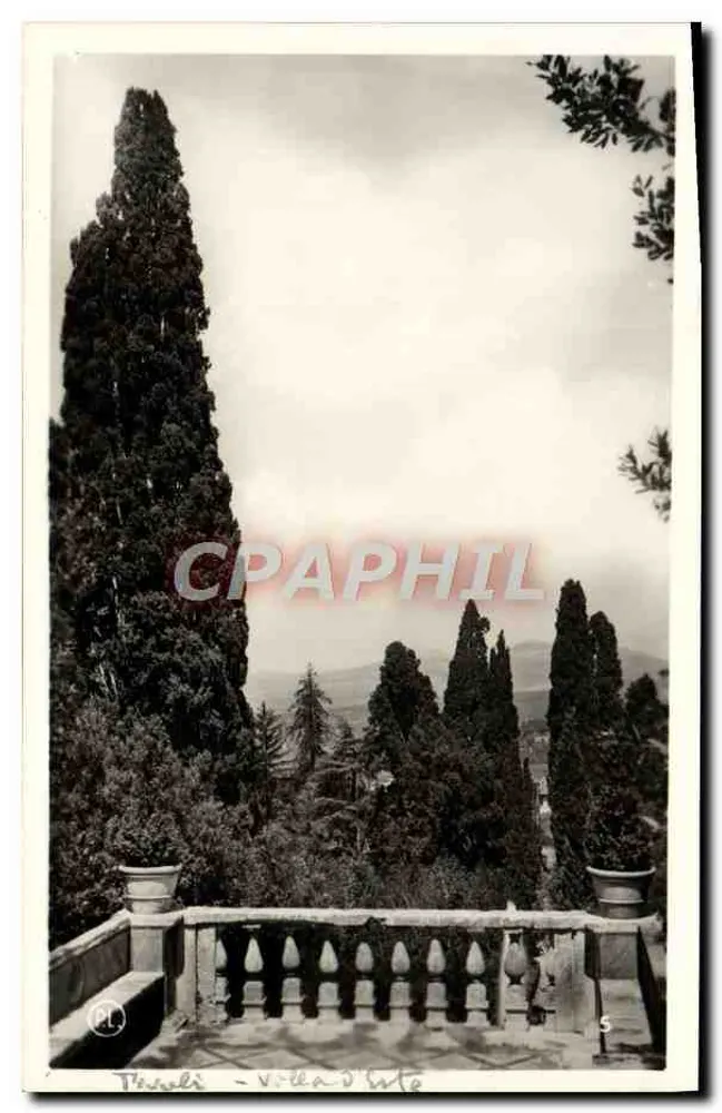 Tivoli - Villa d'Este — Cipressos do Terrazzo — Ed. L. Provizzi - Frente
