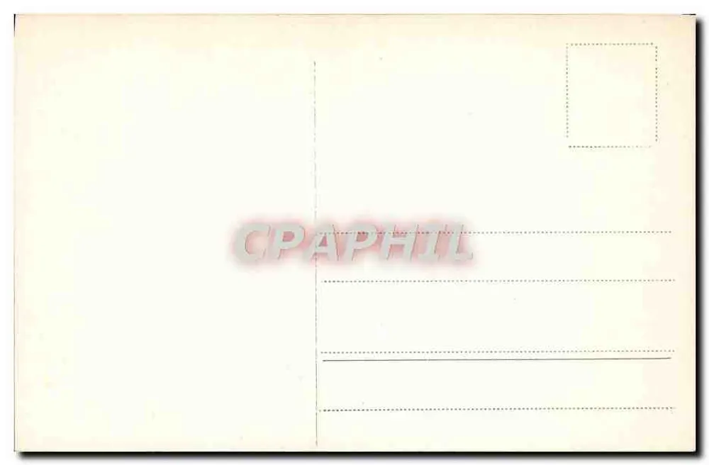 Rom - Zypressen auf dem Palatin — Ernesto Richter, Rom, Nr. 408 - Rückseite