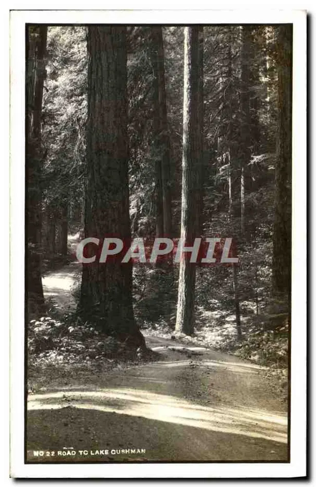 Rota para o lago Cushman — Florestas de sequoias — No 22 - Frente