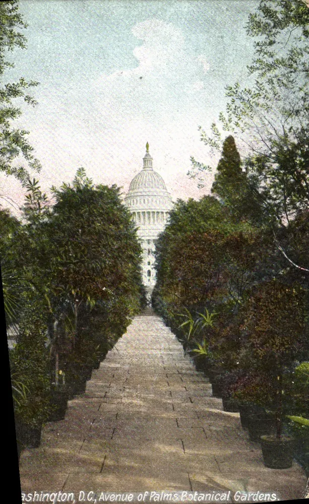 Washington D.C., Avenue of Palms Botanical Gardens — Ansicht des Kapitols — Paul Morin, Hersteller, Montreal - Vorderseite
