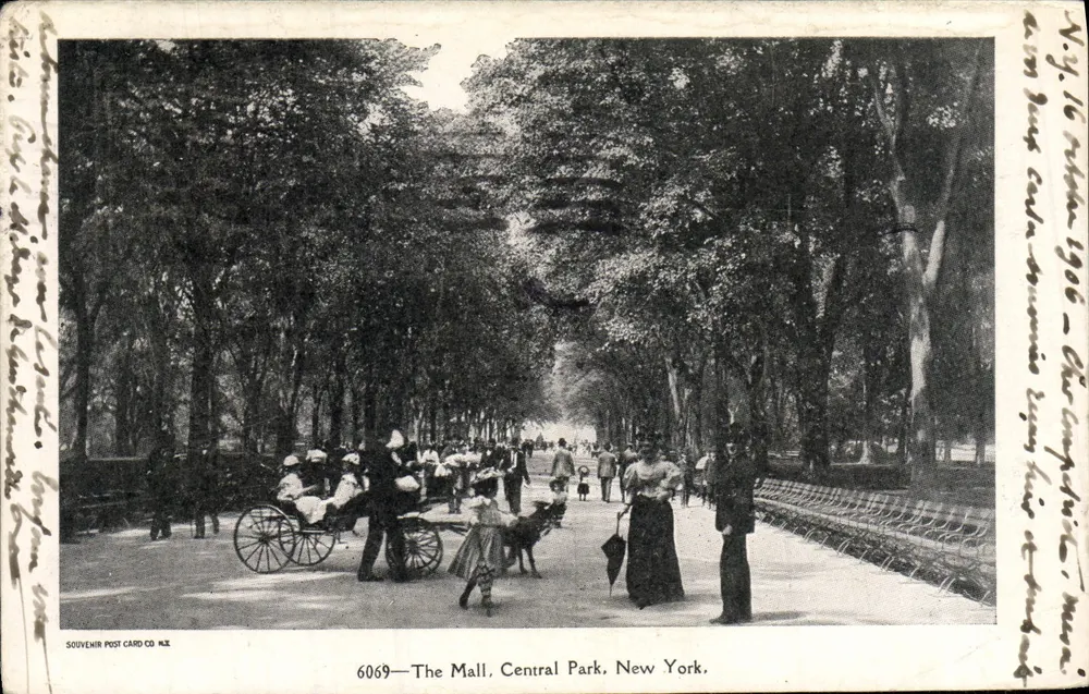 The Mall, Central Park, New York — Souvenir Post Card Co. Nr. 6069 - Vorderseite