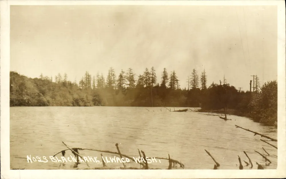 Lago Negro, Ilwaco, Washington — vista lacustre com floresta e destroços flutuantes — n°23 - Frente