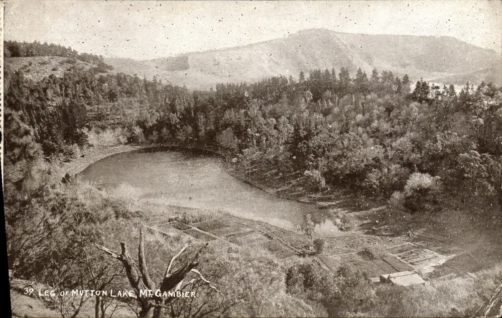 Lac Mutton — vue du lac et des collines boisées — éditeur imprimeur Mount Gambier - Vorderseite