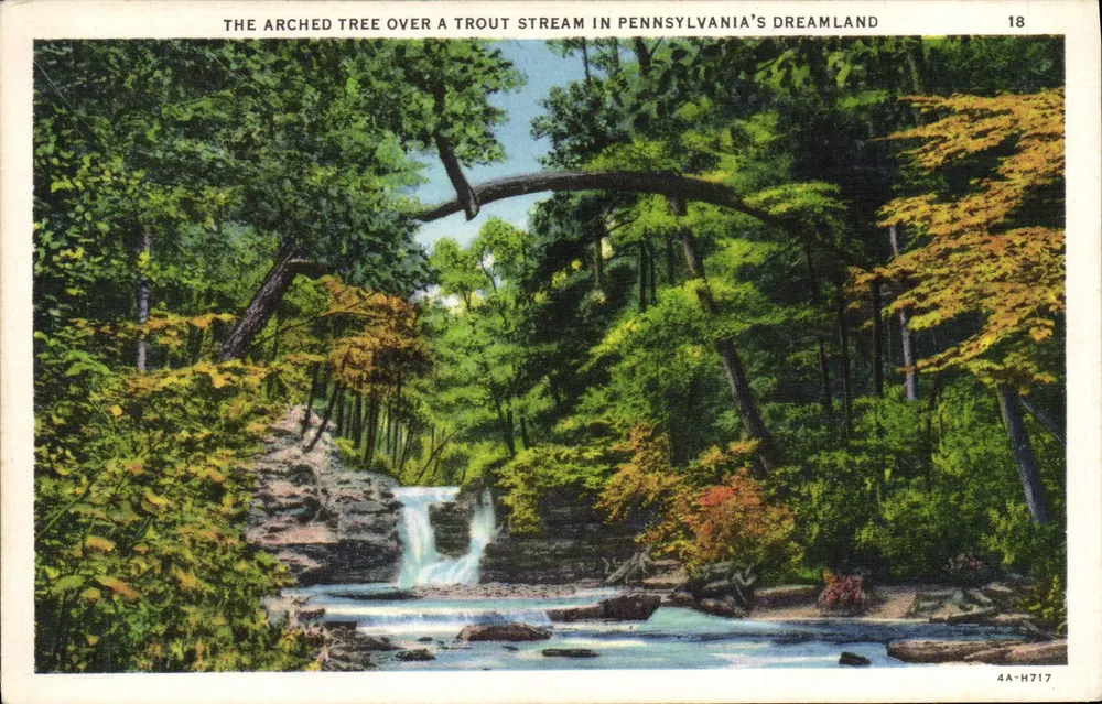 Bogenbaum über einen Bach mit Forellen in Pennsylvania's Dreamland — 4A-H717, Serie 18 - Vorderseite