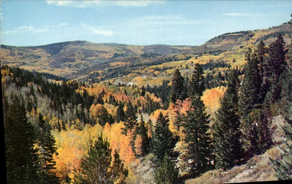 Herbst in den Cedar Breaks, Utah — Herbstszenen — veröffentlicht von Geo. Mc Co. Co., Boston, Mass. U.S.A. n° P28318 - Vorderseite
