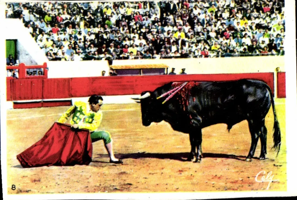 Touro na arena — espetáculo de touro-e-espada — edição Cely, n°8 - Frente