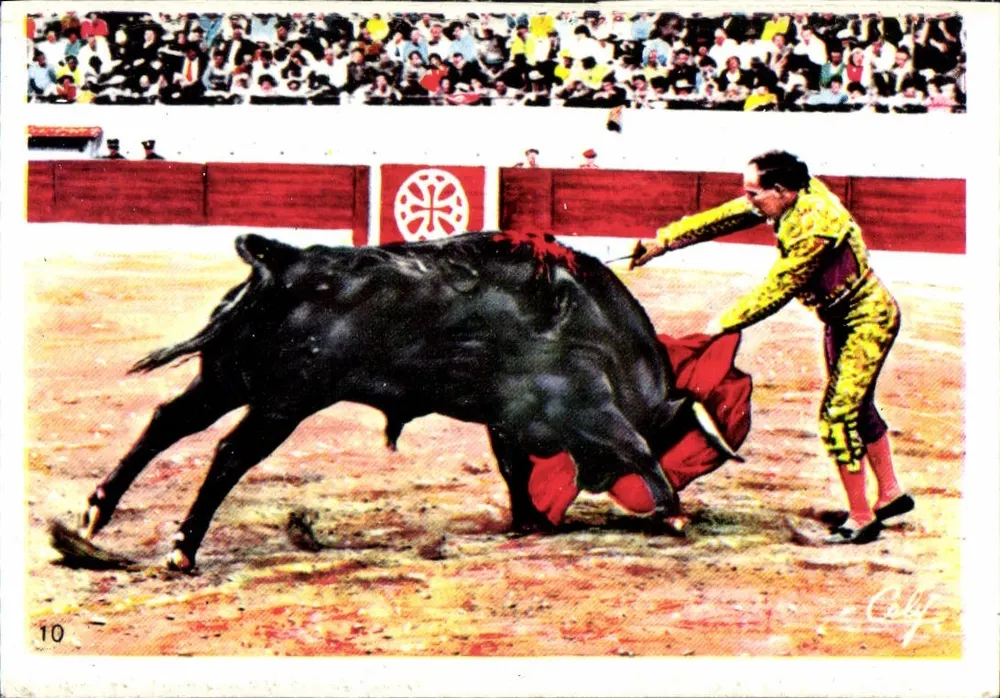 Touro em arena — espetáculo de touro — edição Colf, n°10 - Frente